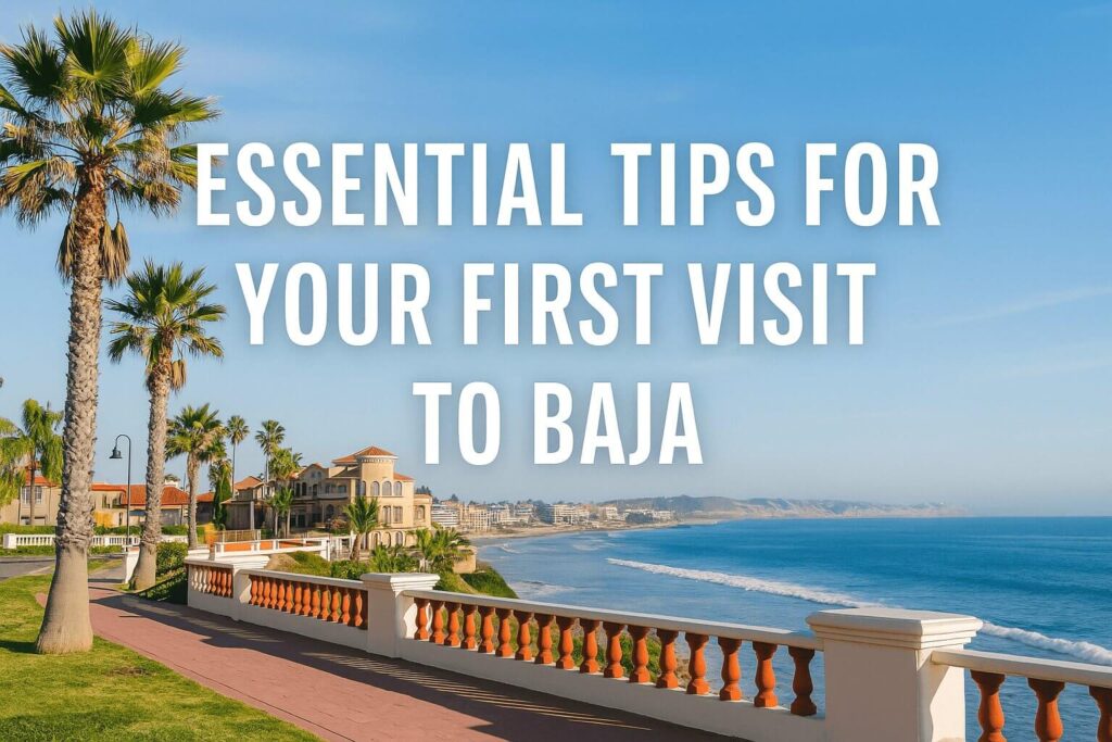 Essential Tips for your first visit to Baja